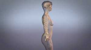 Osteopatia in gravidanza 011 osce spine center