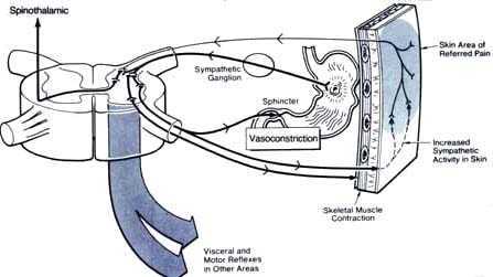 lombalgia manipolazione viscerale 03 osce spine center
