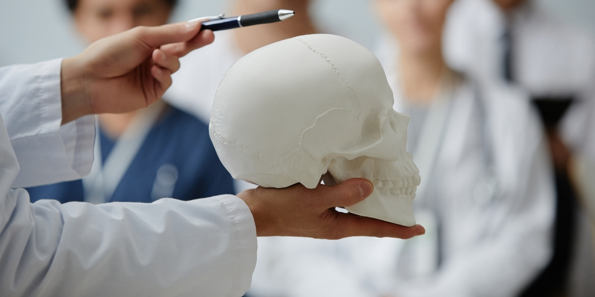 Corsi postgraduate