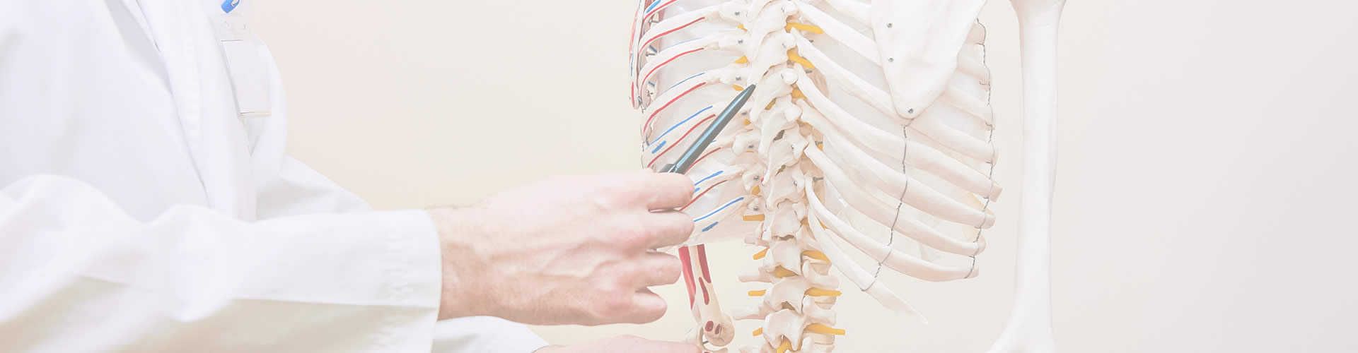 Corso di formazione T1 - Full Time in Osteopatia OSCE
